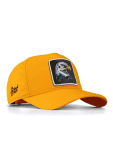 Petten