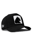 Petten