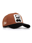 Petten