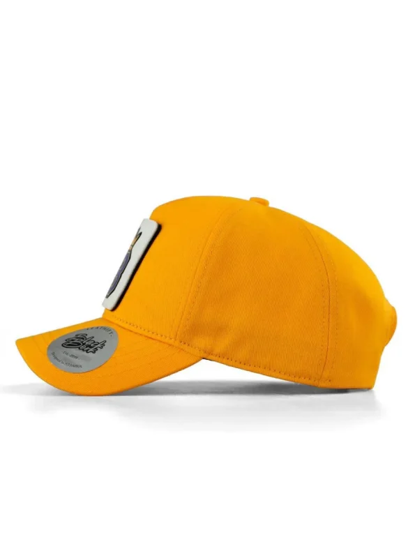 Petten